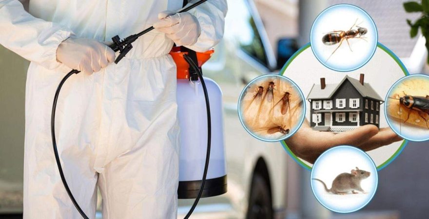 Suruç Böcek İlaçlama