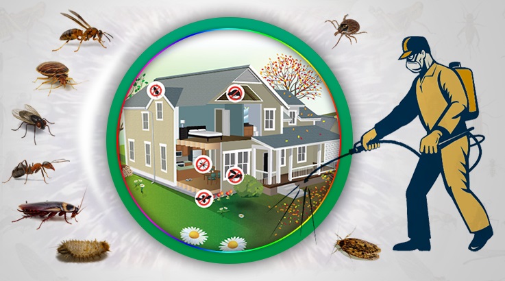 Suruç Böcek İlaçlama