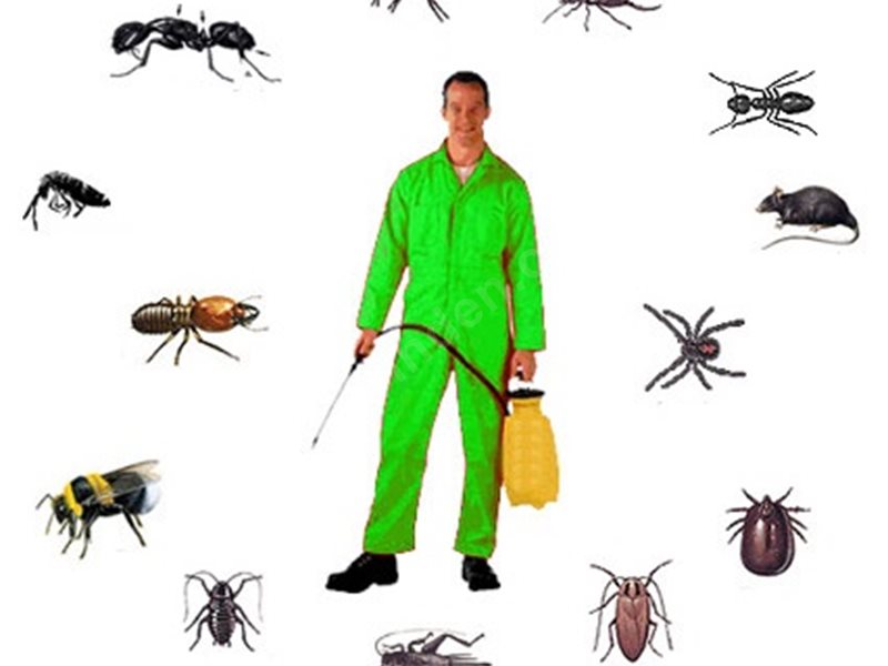 Suruç Böcek İlaçlama